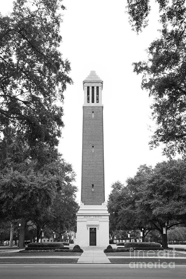 Tuscaloosa Photograph - University of Alabama Denny Chimes by University Icons