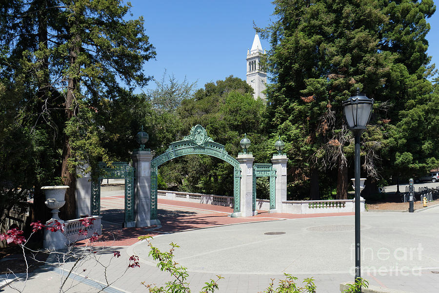 University of California at Berkeley Sproul Plaza Sather Gate and Sather Tower Campanile DSC6261 Photograph by San Francisco