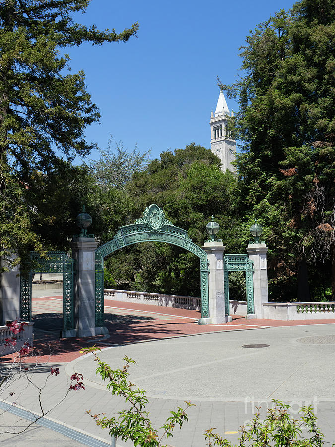 University of California at Berkeley Sproul Plaza Sather Gate and Sather Tower Campanile DSC6262 Photograph by San Francisco