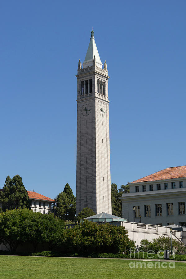 University of California Berkeley Sather Tower The Campanile From The Doe Library DSC4702 Photograph by Wingsdomain Art and Photography