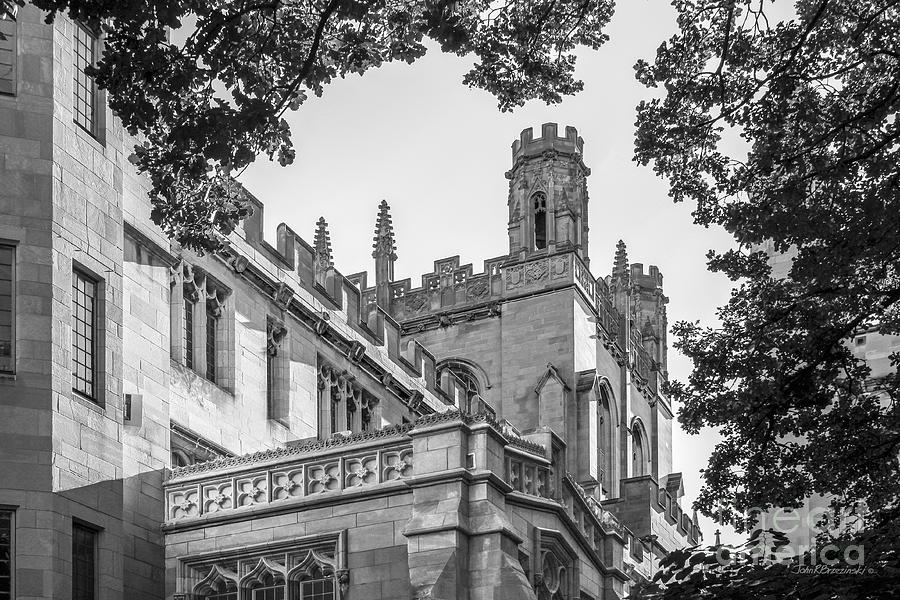 University of Chicago Collegiate Architecture Photograph by University Icons