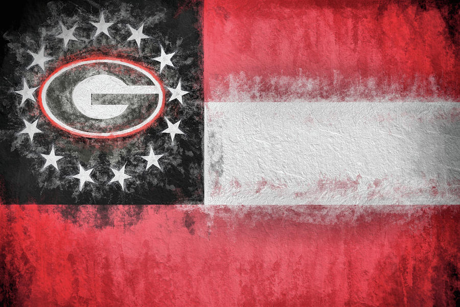 University Of Georgia State Flag Digital Art by JC Findley