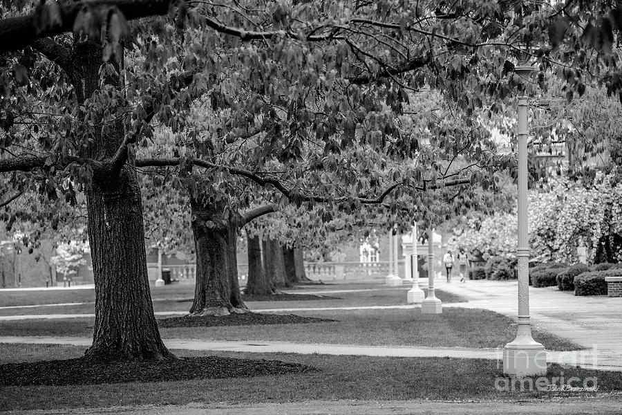 University of Rochester Eastman Quadrangle Photograph by University Icons