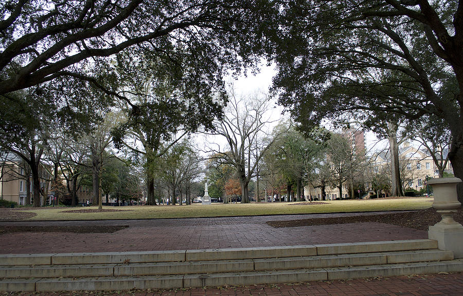University Of South Carolina 1 Photograph by Skip Willits