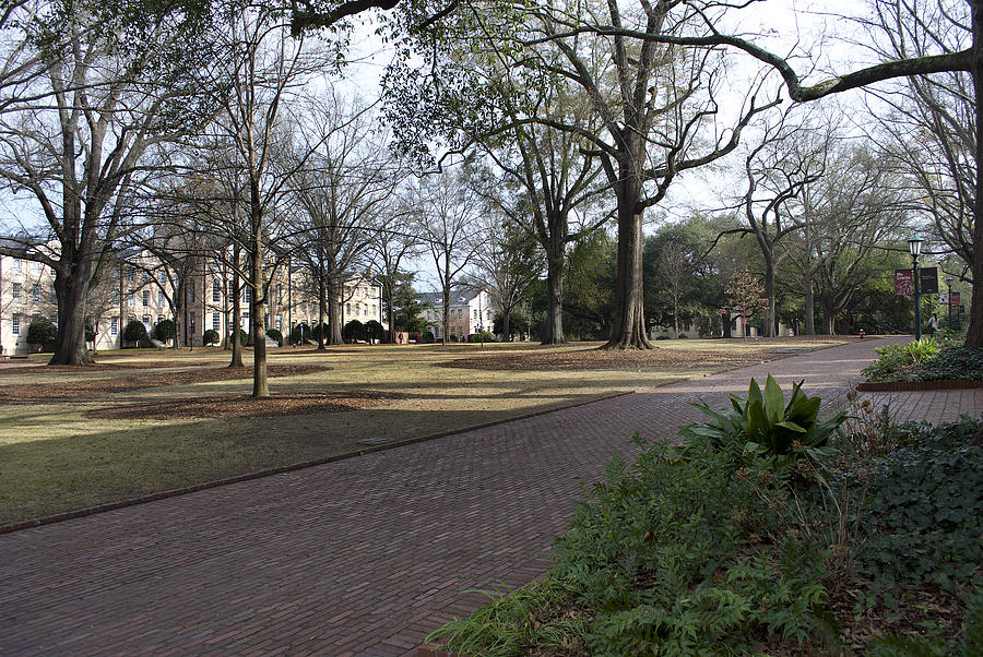 University Of South Carolina 4 Photograph by Skip Willits