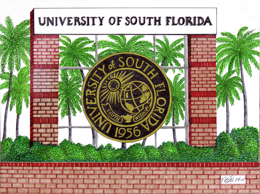 University of South Florida Drawing by Frederic Kohli