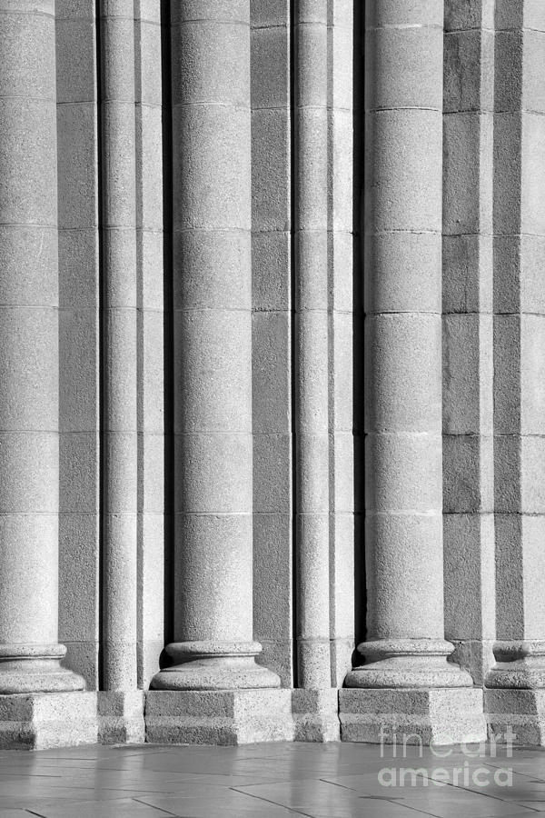 Los Angeles Photograph - University of Southern California Columns by University Icons