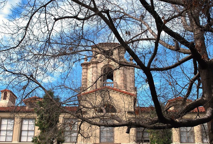 City Photograph - University Tower Mason Hall - Pomona College - Framed by Trees by Matt Quest