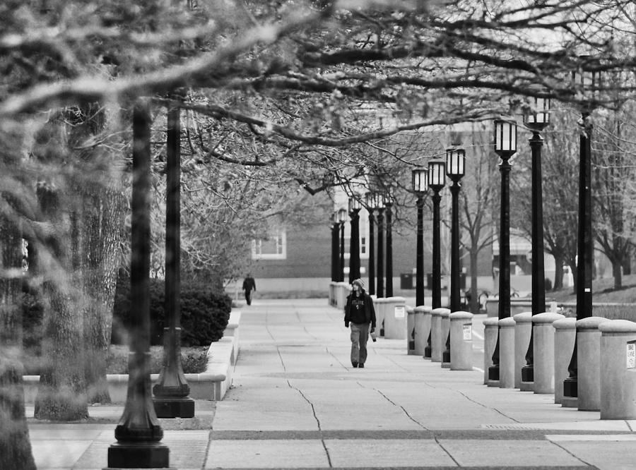 University Walk Photograph by Coby Cooper