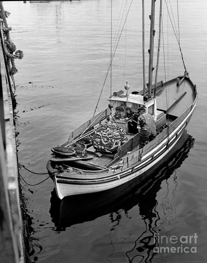 Fish Photograph - Unloading fish fom a Monterey Fishing Boat  circa 1940 by Monterey County Historical Society