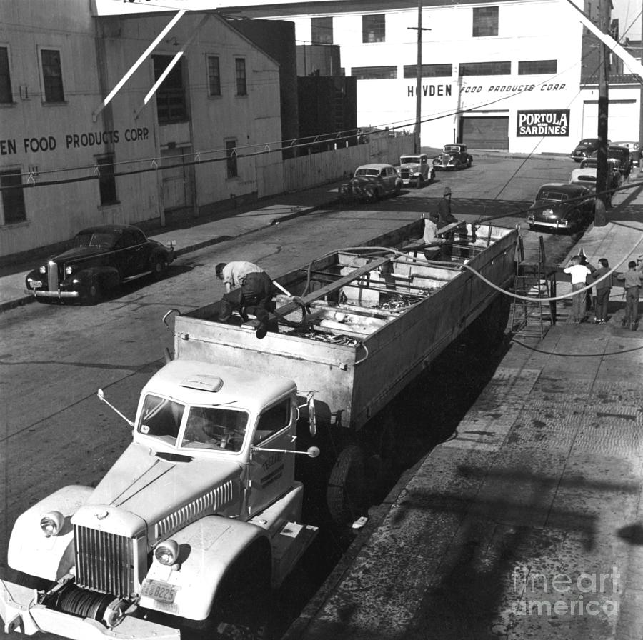 Fish Photograph - unloading sardines trucked in from southern California 1950 by Monterey County Historical Society