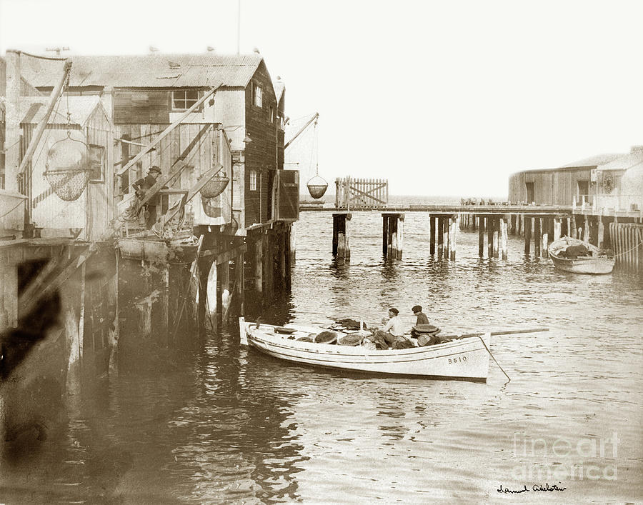 Monterey Wharf Photograph - Unloading small fishing boat at Fishermans wharf  1920 by Monterey County Historical Society