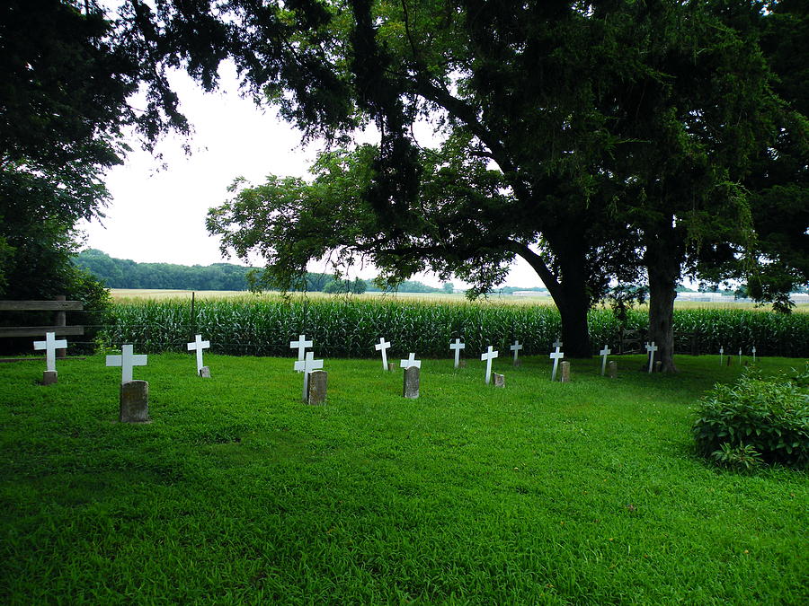 UNMARKED GRAVES IN YOUTH CENTER #4 by The GYPSY UNMARKED GRAVES IN YOUTH CENTER #4 by The GYPSY