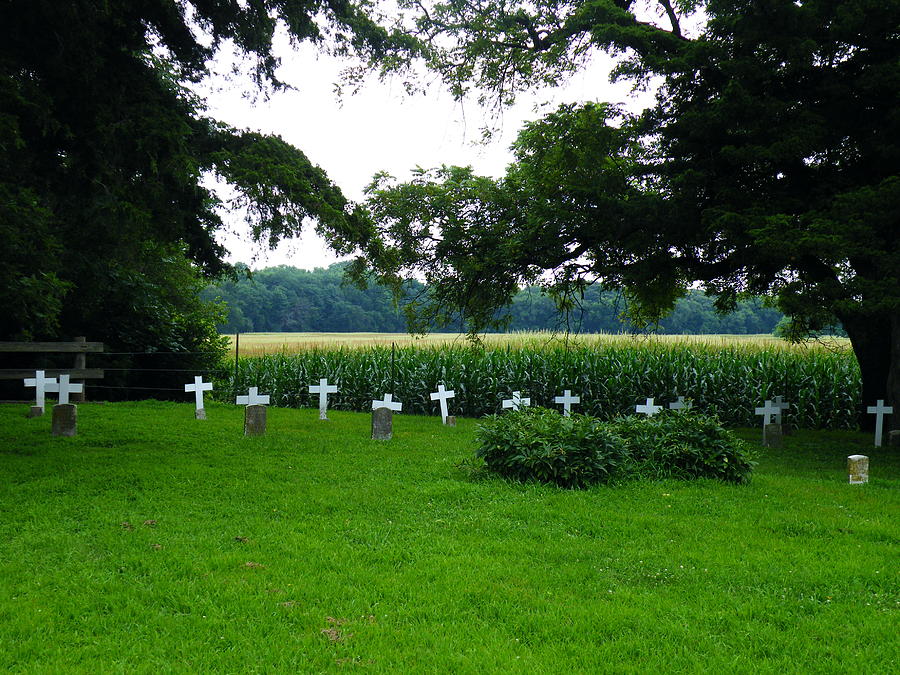 UNMARKED YOUTH CENTER GRAVES #2 by The GYPSY UNMARKED YOUTH CENTER GRAVES #2 by The GYPSY