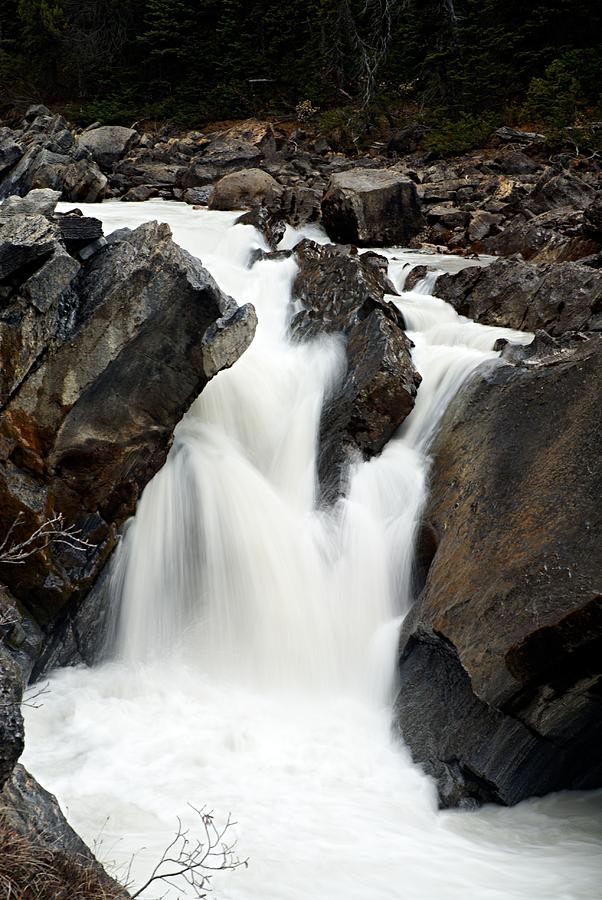 Unnamed Cascade on the Yoho River Photograph by Larry Ricker