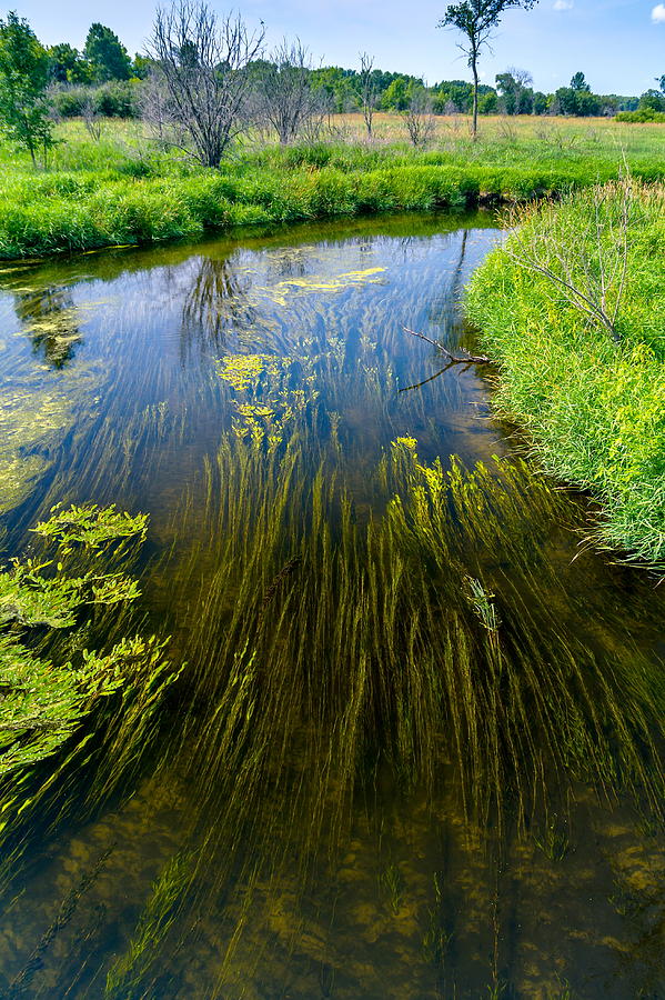 Unnamed River Photograph by Chuck De La Rosa