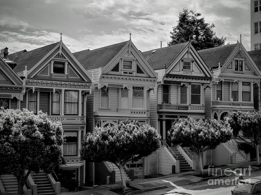 Unpainted Ladies Photograph by Nic H - Fine Art America