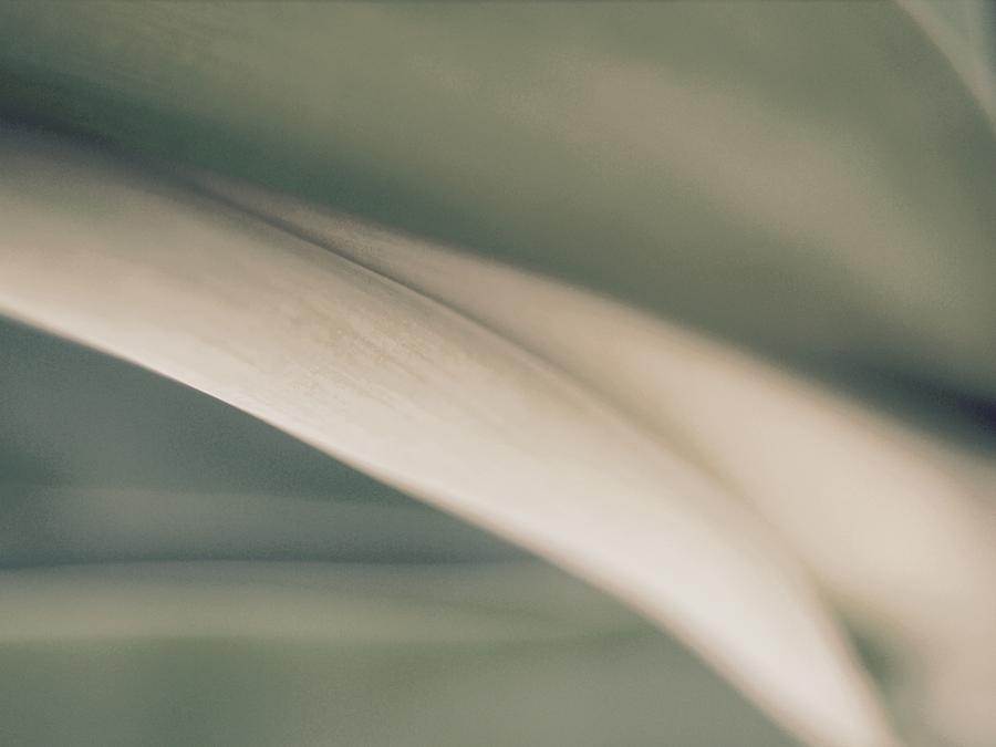 Nature Photograph - Unraveling Light by Photography by Tiwago Nature Photograph - Unraveling Light by Photography by Tiwago