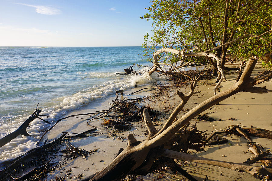 The Unspoiled Beaty Of Barefoot Beach Preserve In Naples Fl Photograph By Robb Stan Pixels 4938