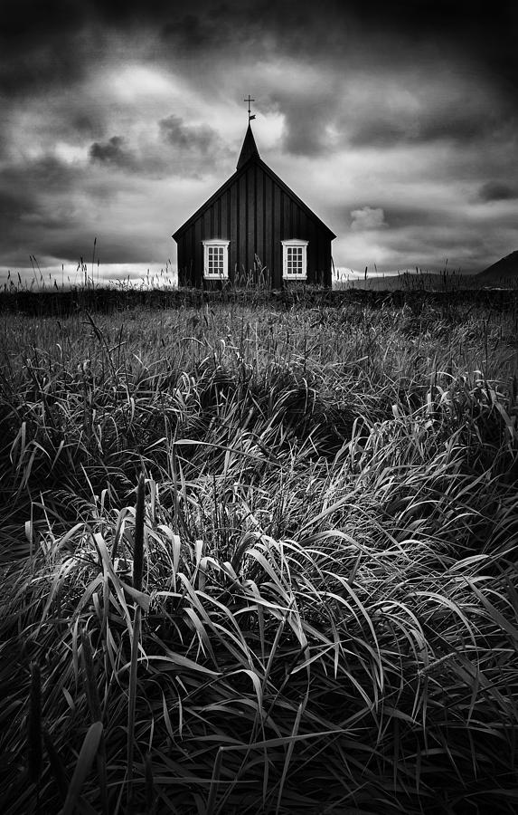 Black And White Photograph - Untamed Grass by Sasa Krusnik