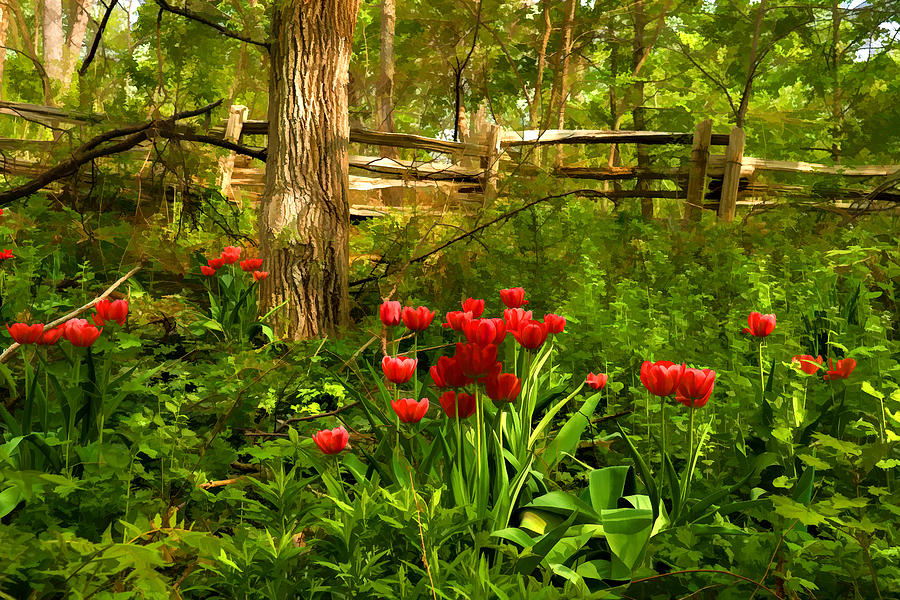 Impressionism Digital Art - Untamed Tulip Forest - Impressions Of Spring by Georgia Mizuleva