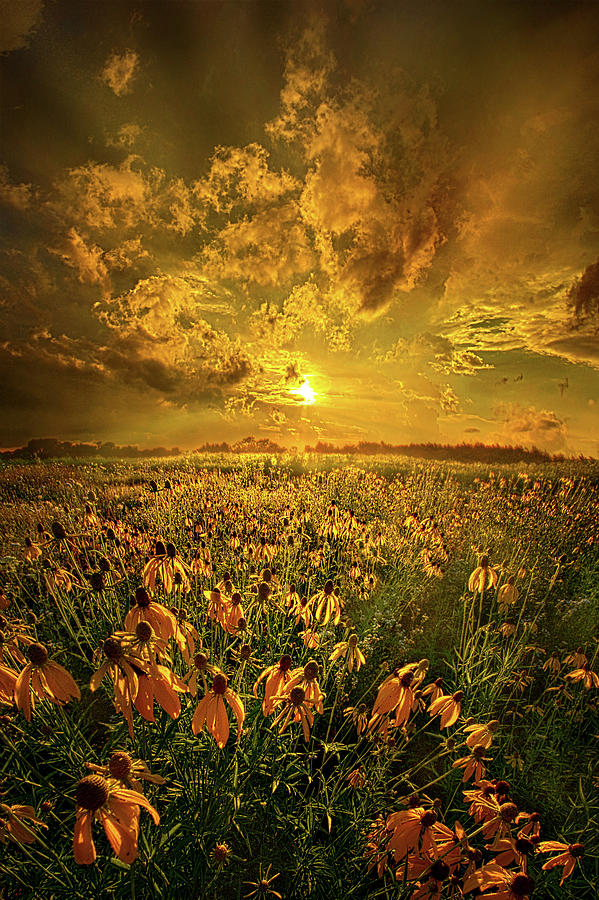 Sunset Photograph - Until You Listen To Your Heart by Phil Koch