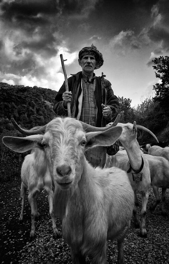 Goat Photograph - Untitled by Nuri Ozciftci