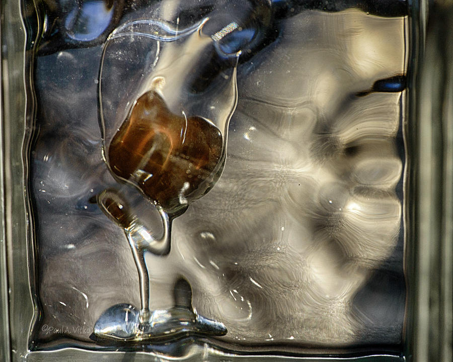 Untitled Wine Glass..... Photograph by Paul Vitko