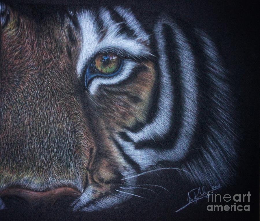 Wildlife Drawing - Unveiled Courage by Tanya R Unger