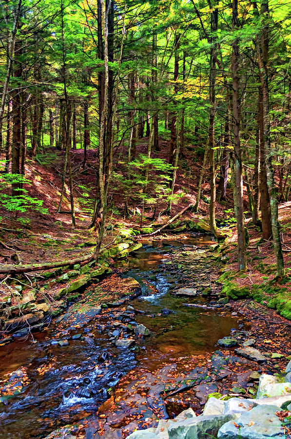 Up a Creek in the Endless Mountains 2 - Paint Photograph by Steve Harrington