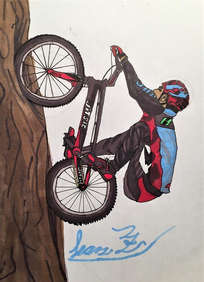 Cycling Drawing - Up a Tree by Sean Farrar