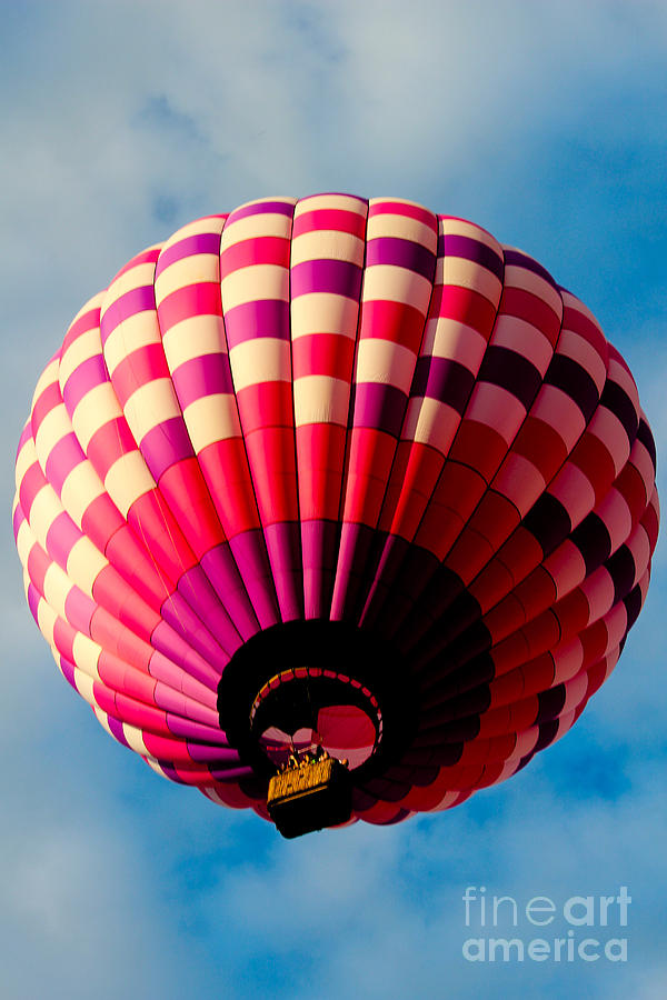 Great Falls Balloon Festival Photograph - Up and Away by Victory Designs