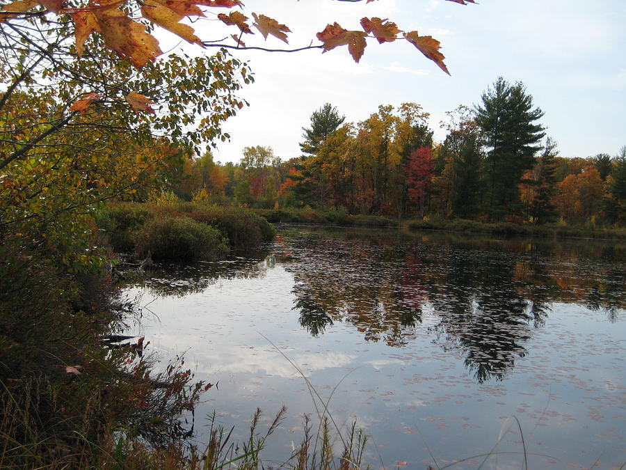 Up at the Lake in the Fall Photograph by Linda Williams Fine Art - Pixels