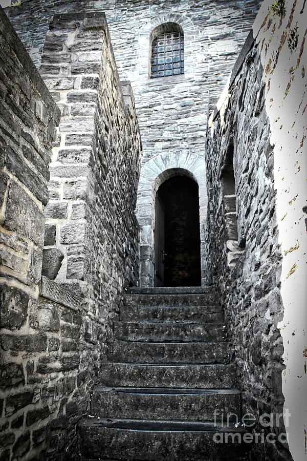 Up Movie Photograph - Up Castle Steps by Carol Groenen