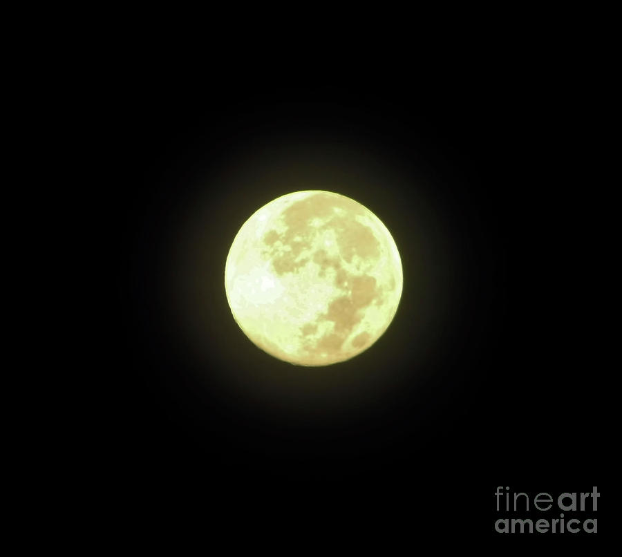 Nature Photograph - Up Close Full Moon by D Hackett