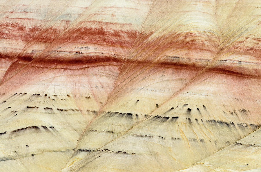 Up Close Painted Hills Photograph by Greg Nyquist