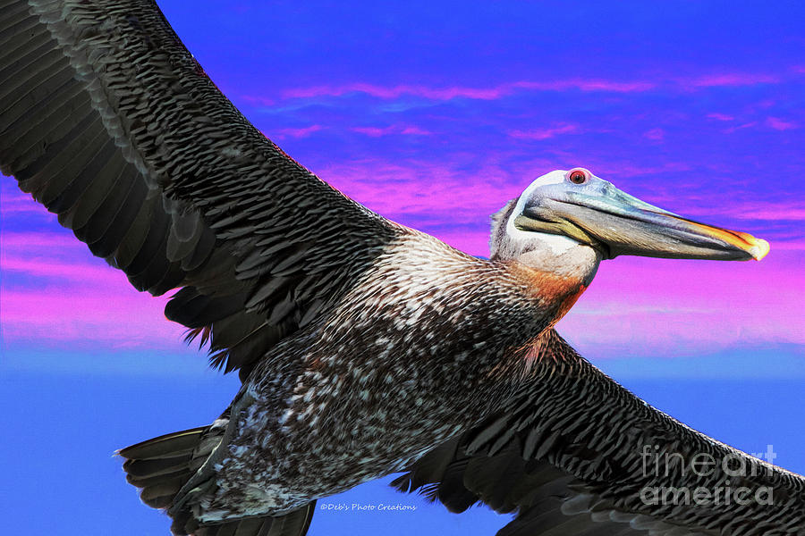 Up Close Pelican Painting by Deborah Benoit