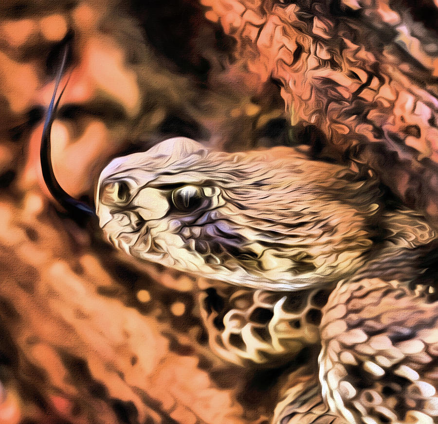 Diamondback Photograph - Up Close With An Atrox by JC Findley