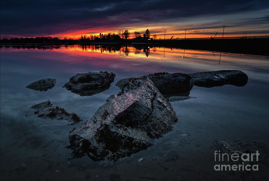 Sunset Photograph - Up from the mud by Scott Thorp