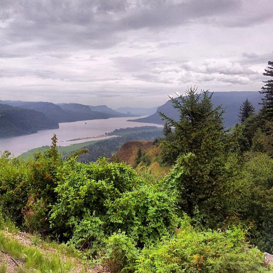 Up In The Columbia Gorge This Photograph by Randy Hill