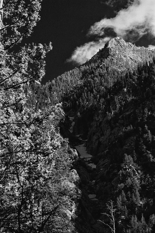 Up the Gorge in Black And White  Photograph by Buck Buchanan