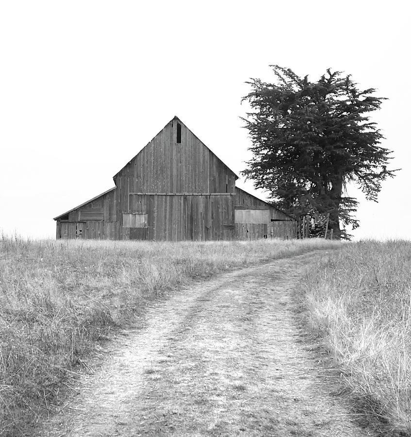 Up The Road A Piece in Black and White Photograph by Kandy Hurley