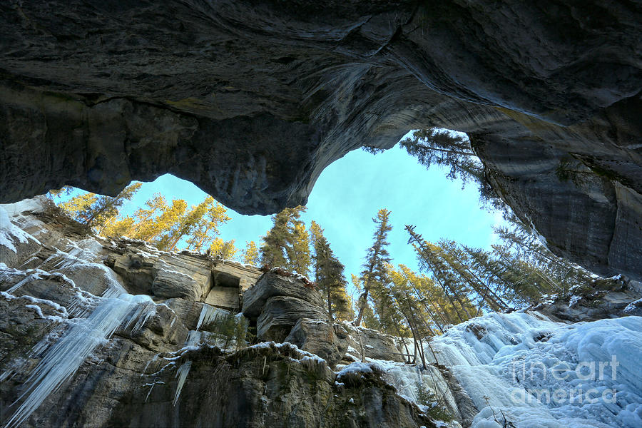 Up Through Maligne Canyon Photograph by Adam Jewell