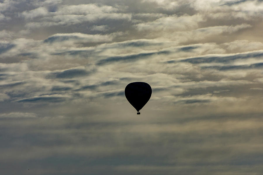 Up Up and Away Photograph by Douglas Killourie