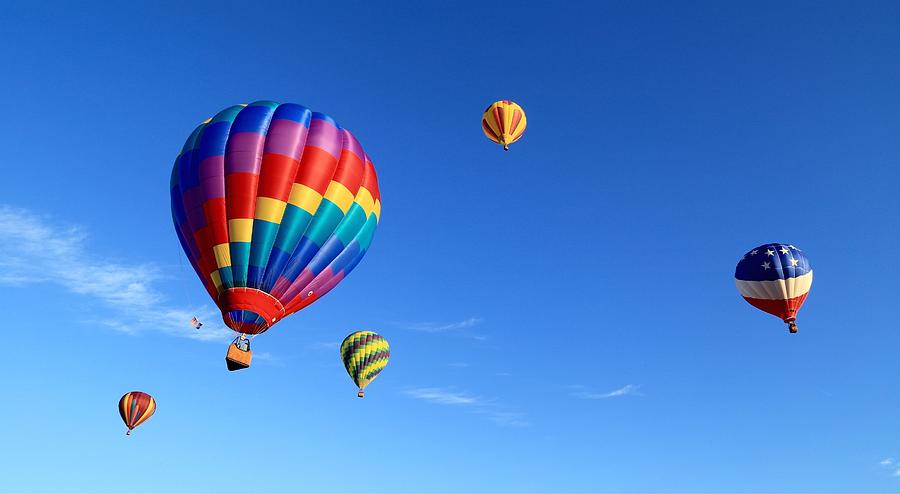 Up up and away Photograph by Lynn Hopwood