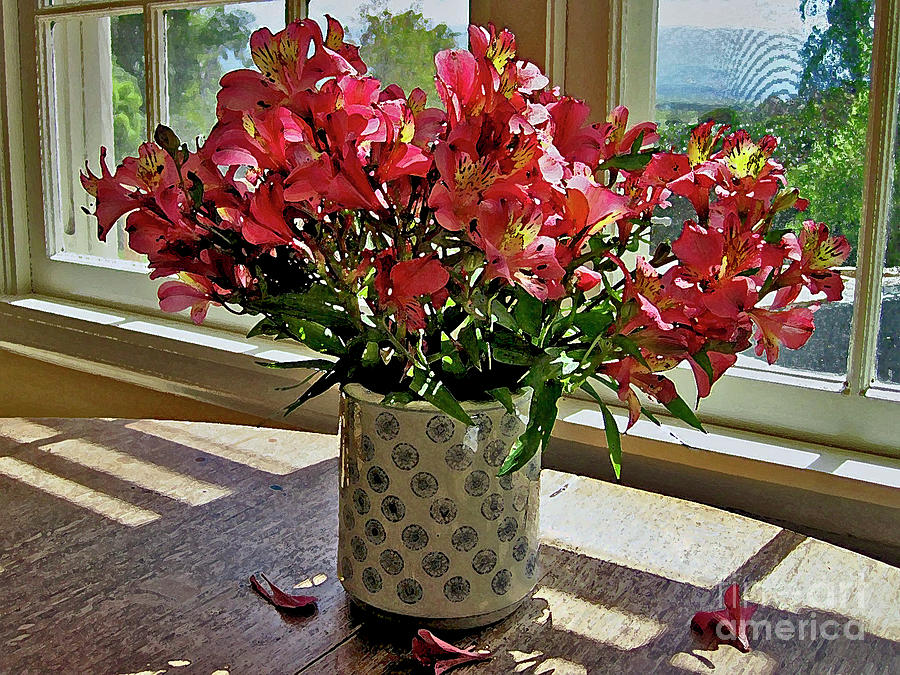 Upcountry Flowers Photograph by Bette Phelan