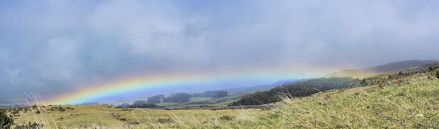 Upcountry Rainbow Photograph by Paulette B Wright