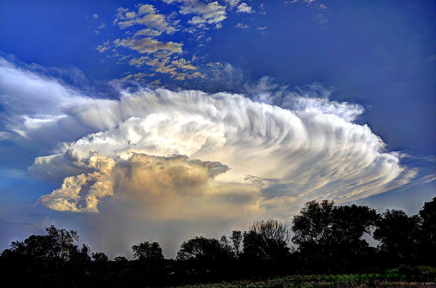 Updraft Photograph by Jean Hutchison