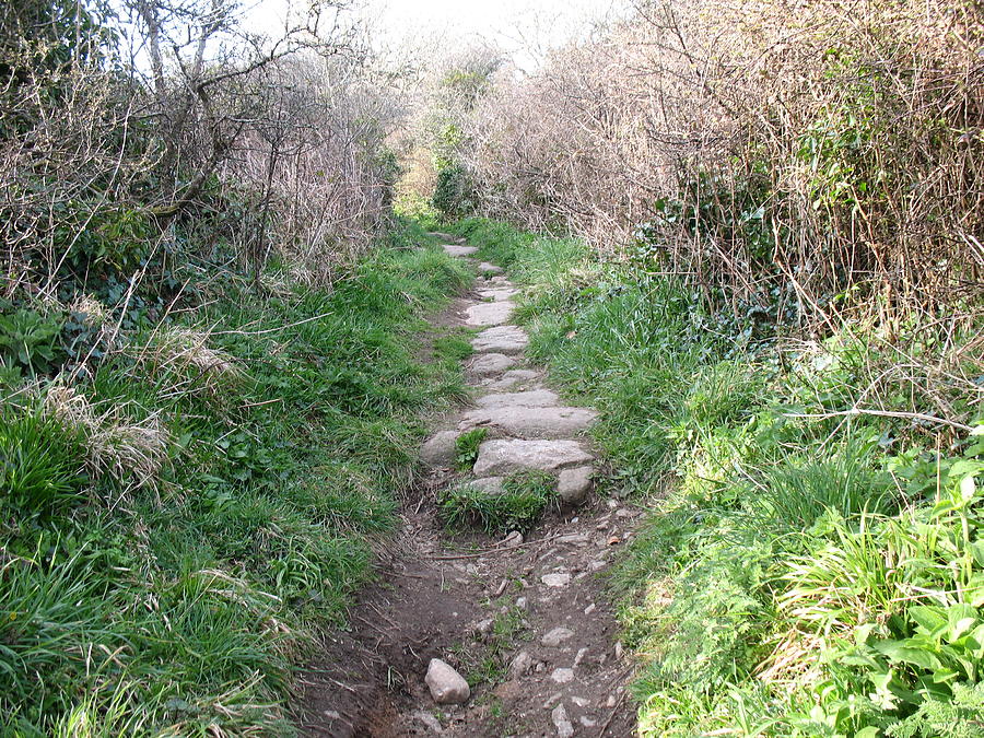 Pathway Photograph - Uphill Walk by Tony Payne