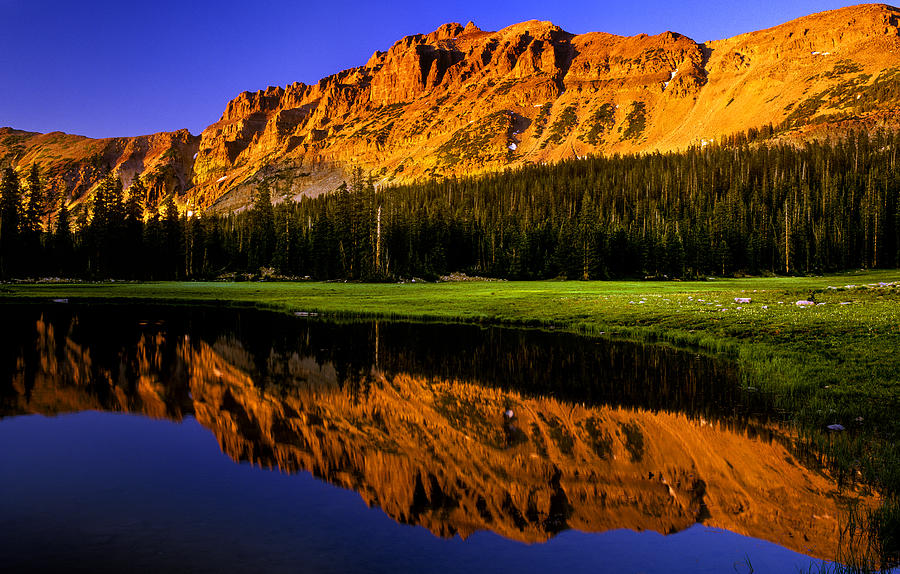 Upon Reflection Photograph by Grant Sorenson